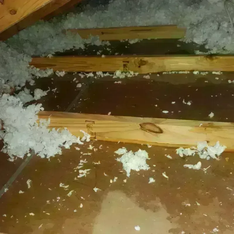 Attic Water Damage in Delano, MN