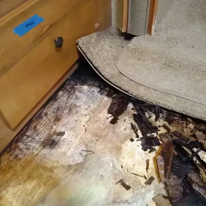 Wood Floor Water Damage in Delano, MN